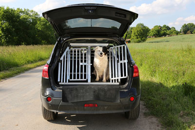 hundebox-auto