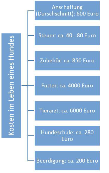 kosten-hundehaltung